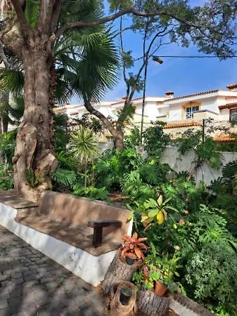 Apartment El Tabobo Sl Guimar