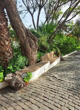 El Tabobo Sl Apartament Güimar