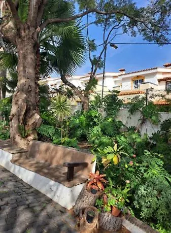 Apartment El Tabobo Sl Güimar